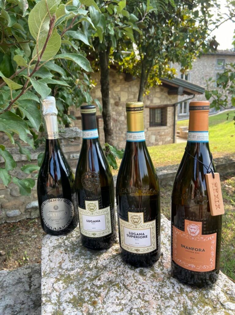 Scopri di più sull'articolo Borgo la Caccia, l’oasi del Lugana e del Carmenoire di Pozzolengo