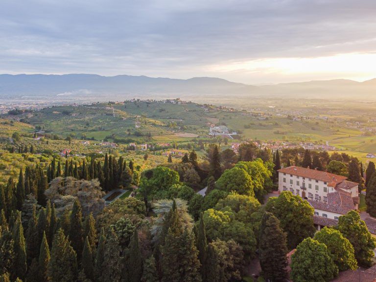 Scopri di più sull'articolo Capezzana, unicum nel panorama vitivinicolo che ha battuto Sassicaia