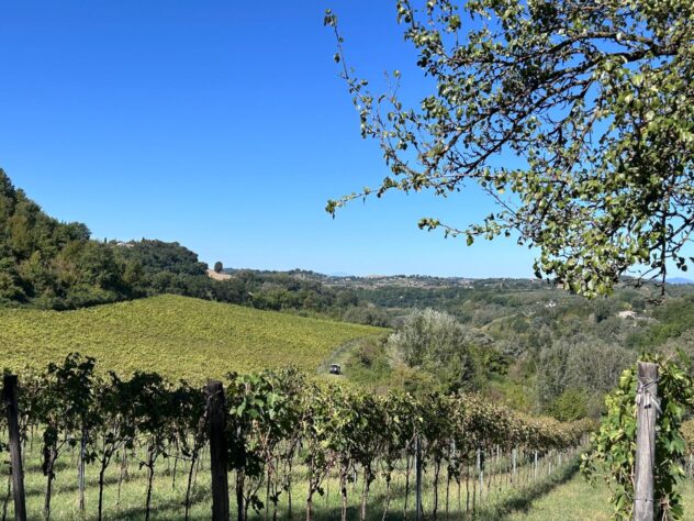 Podere Sassi, Leonardo e il coraggio di aprire una finestra sul futuro della sua terra