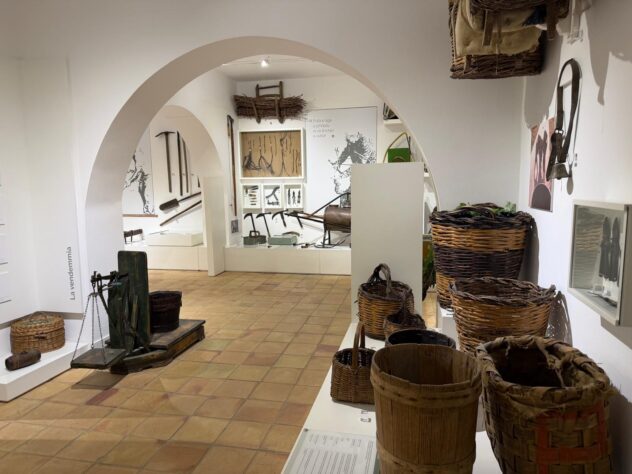 Librandi, viaggio nella Calabria del vino: il museo tra le vigne e il giardino segreto dei 200 vitigni
